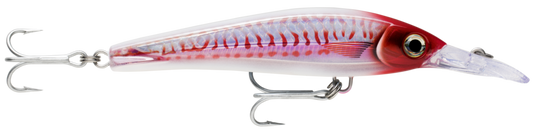 X-Rap Magnum - Xtreme