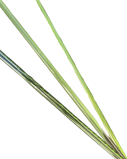 GPXJ - Blank Jigging Series