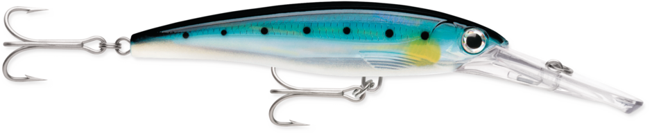 Rapala X-RAP Magnum Saltwater Divebait