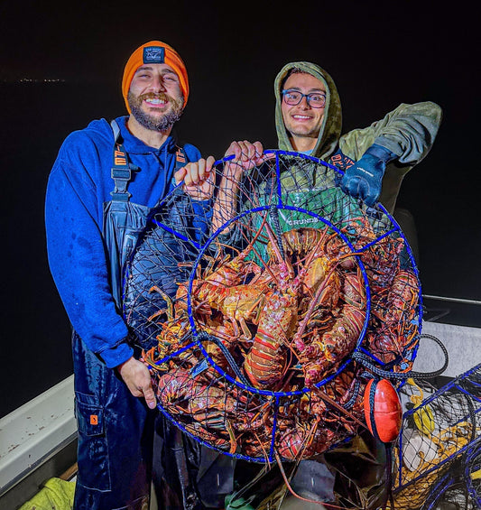Lobster Season is Back – Here’s What You Need To Know!