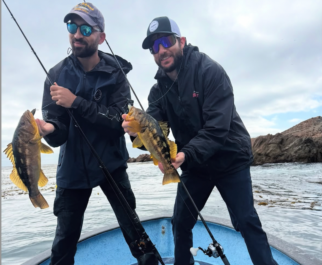 Calico Crusher Report: Cedros Island Delivered Big Time!