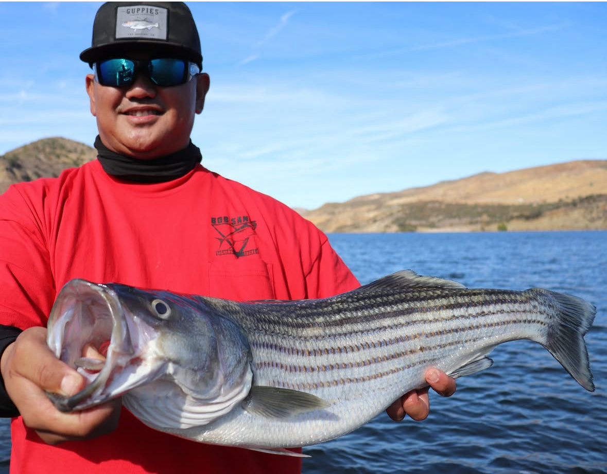 Stripers Fishing