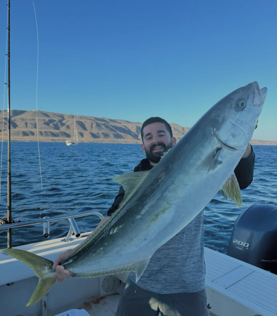 Yellow Tail Fishing