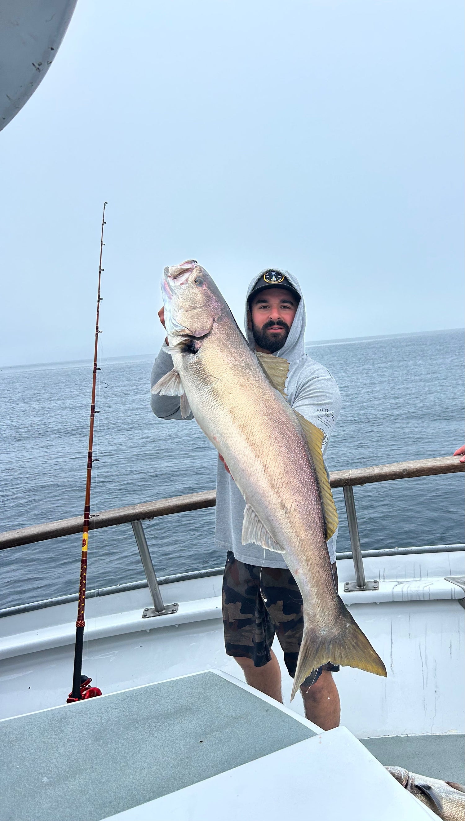 White Sea Bass