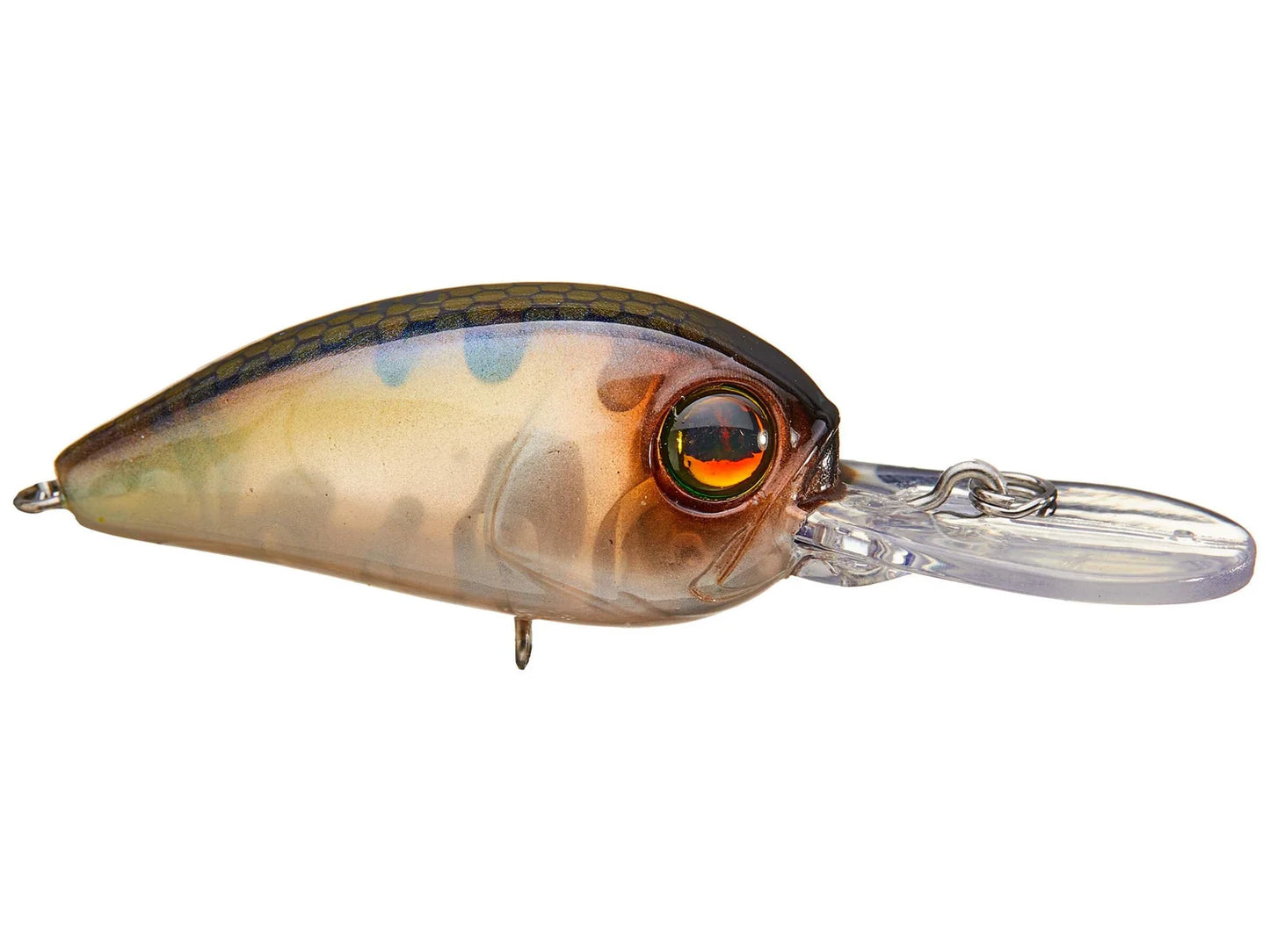 Damiki Disco Deep 38 BFS Crankbait