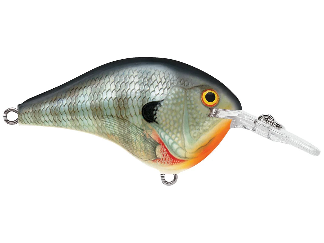 Rapala DT Series Crankbaits