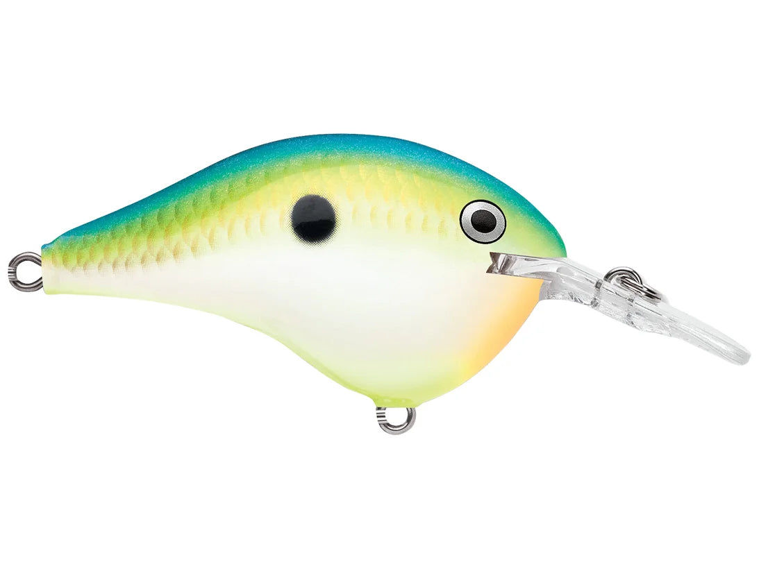 Rapala DT Series Crankbaits