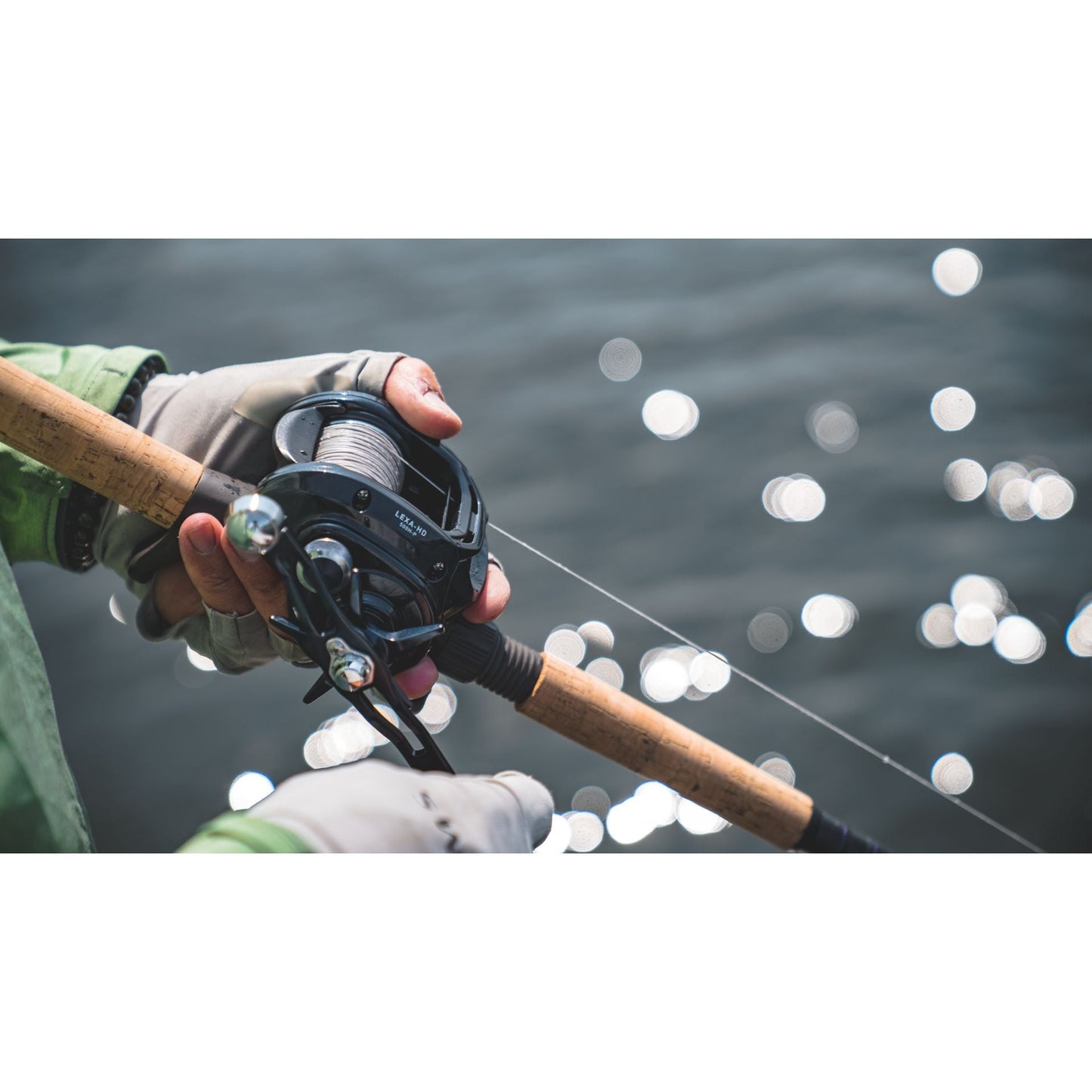 Daiwa Lexa 500 HD Baitcasting Reel