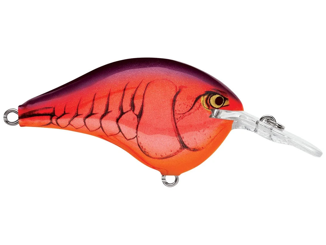 Rapala DT Series Crankbaits