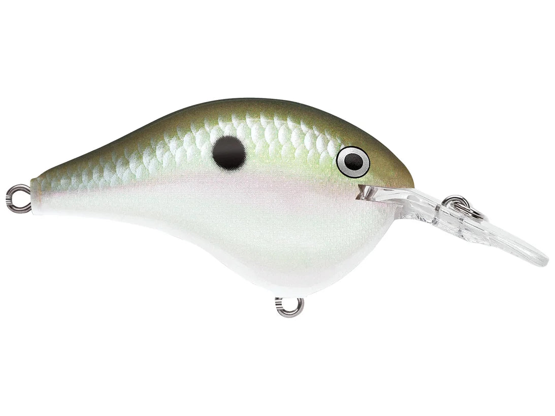 Rapala DT Series Crankbaits