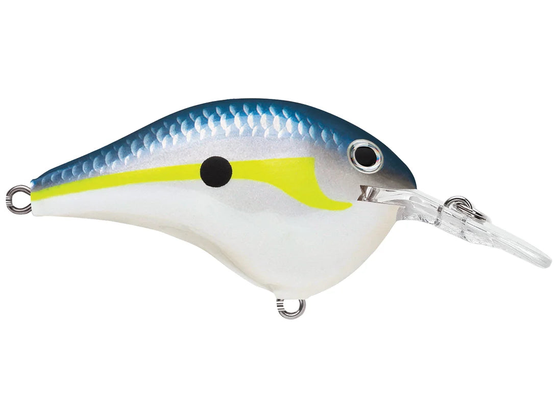 Rapala DT Series Crankbaits