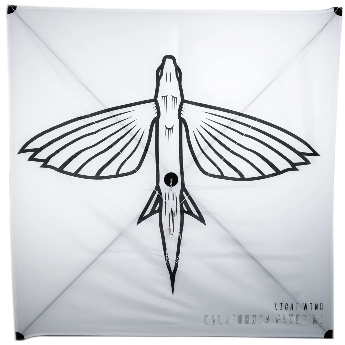 Light Wind Fishing Kite