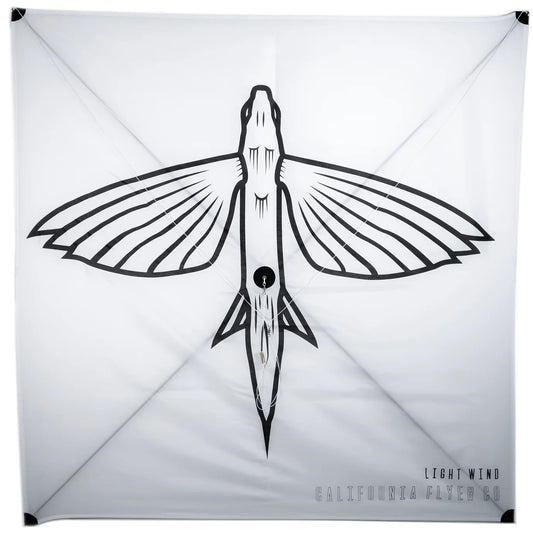 Light Wind Fishing Kite