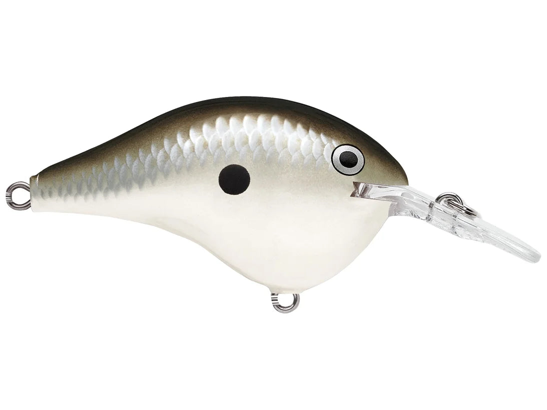 Rapala DT Series Crankbaits