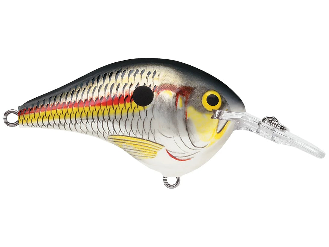 Rapala DT Series Crankbaits