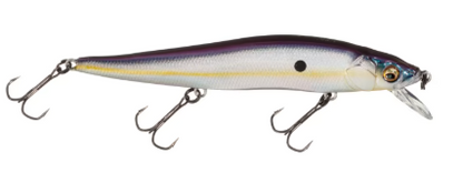 Megabass Vision Oneten Jr.