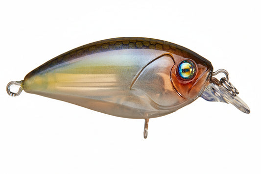 Damiki Disco 40 BFS Crankbait
