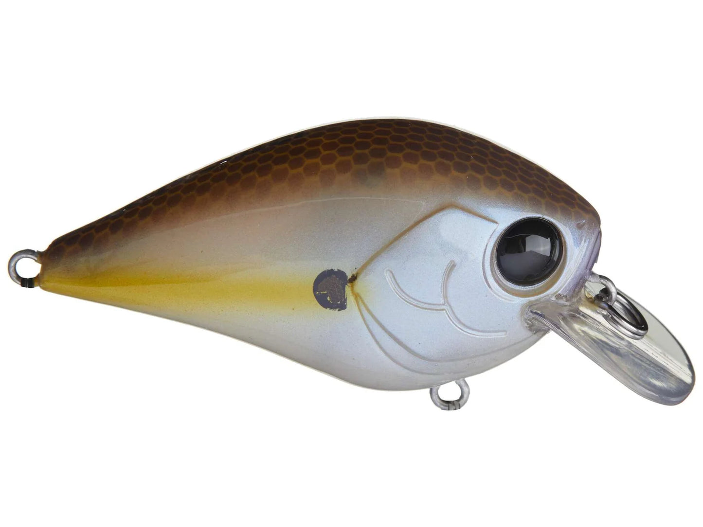 Damiki BTC 50